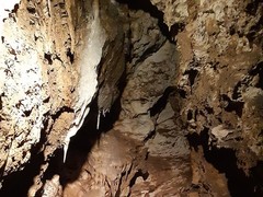 Výlet Sluníček do Bozkovských jeskyní