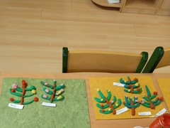 IMG_20241209_093739