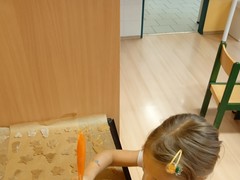 IMG_20241210_090454