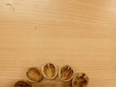 IMG_20241212_092210_1