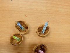 IMG_20241212_092639_1