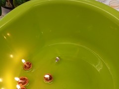 IMG_20241212_092937