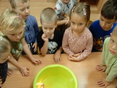 IMG_20241212_093037_1