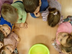 IMG_20241212_093058_1