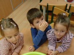 IMG_20241212_093258