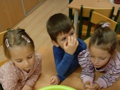IMG_20241212_093259_1