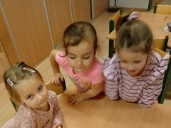 IMG_20241212_093512