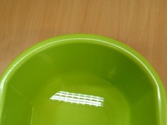 IMG_20241212_093712_1