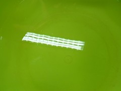 IMG_20241212_093715_1