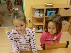 IMG_20241212_093852_1
