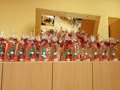 IMG_20241213_073456_1
