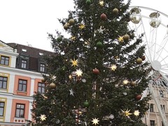 IMG_20241216_111554_1