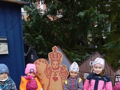 IMG_20241216_111608_1