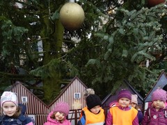 IMG_20241216_111616_1