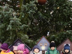 IMG_20241216_111624_1