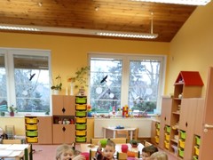IMG_20250227_092745