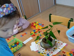 IMG_20250318_070451_1