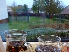 IMG_20241003_074956_1