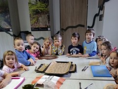 IMG_20241203_095533