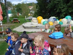 IMG_20240925_142558_1