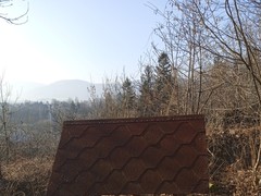 IMG_20250205_103551