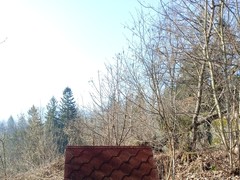 IMG_20250205_103600