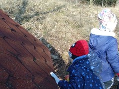 IMG_20250205_103628_1