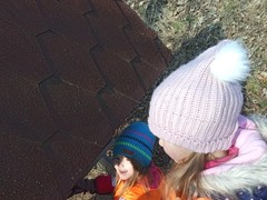 IMG_20250205_103704