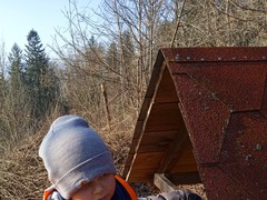 IMG_20250205_103709_1
