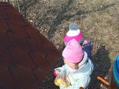 IMG_20250205_103711_1