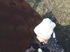 IMG_20250205_103713_1