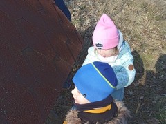 IMG_20250205_103724