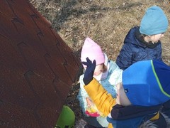 IMG_20250205_103728