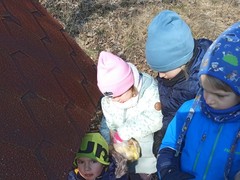 IMG_20250205_103732
