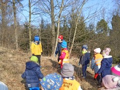 IMG_20250205_103826_1