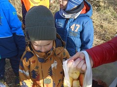IMG_20250205_103829_1