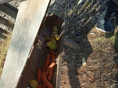 IMG_20250205_103837_1