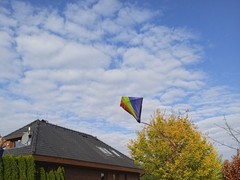 IMG_20241022_104112