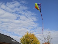 IMG_20241022_104126_1