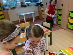 Sázení jarních kytiček u Mravenců