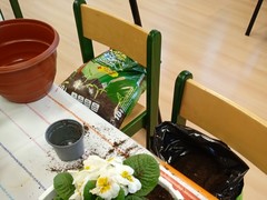 IMG_20250319_064754