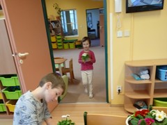 IMG_20250319_065646_1