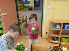 IMG_20250319_065648_1
