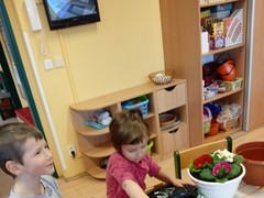 IMG_20250319_065821