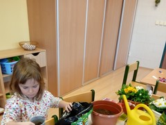 IMG_20250319_071913_1