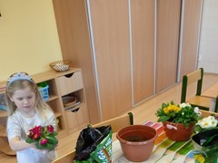 IMG_20250319_073241