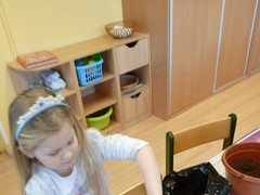 IMG_20250319_073324