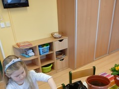 IMG_20250319_073327_1
