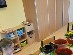 IMG_20250319_073536