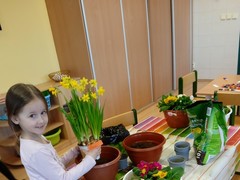 IMG_20250319_074048_1